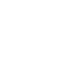 Main Dev